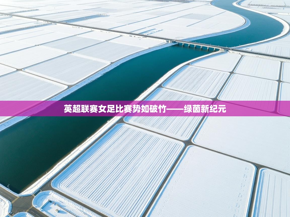 英超联赛女足比赛势如破竹——绿茵新纪元  第2张