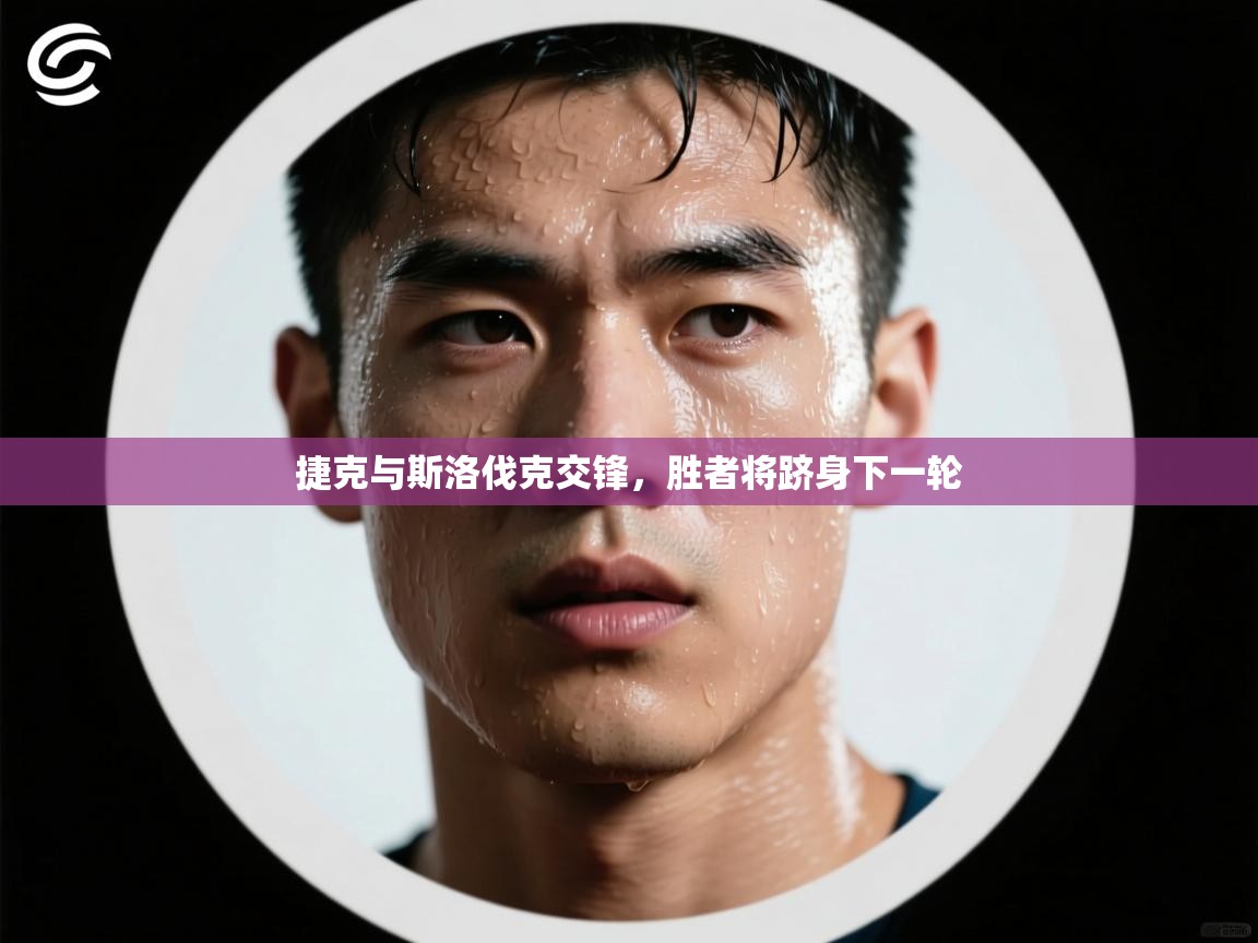 捷克与斯洛伐克交锋，胜者将跻身下一轮  第2张